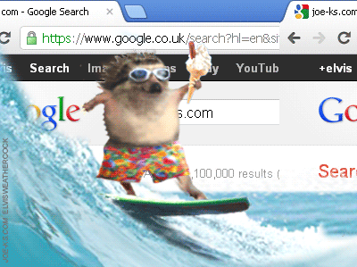 perrito-surfeando
