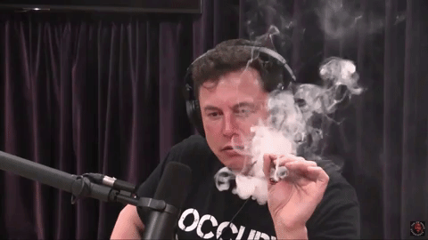 Elon-Musk-Weed